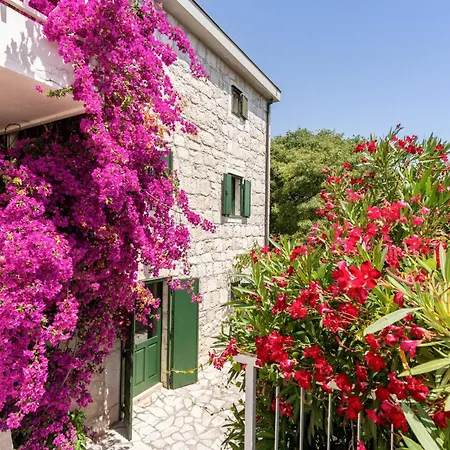 Vakantiehuis Awesome In